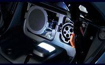 LEAF Charge Port Light Kit (Free Shipping)